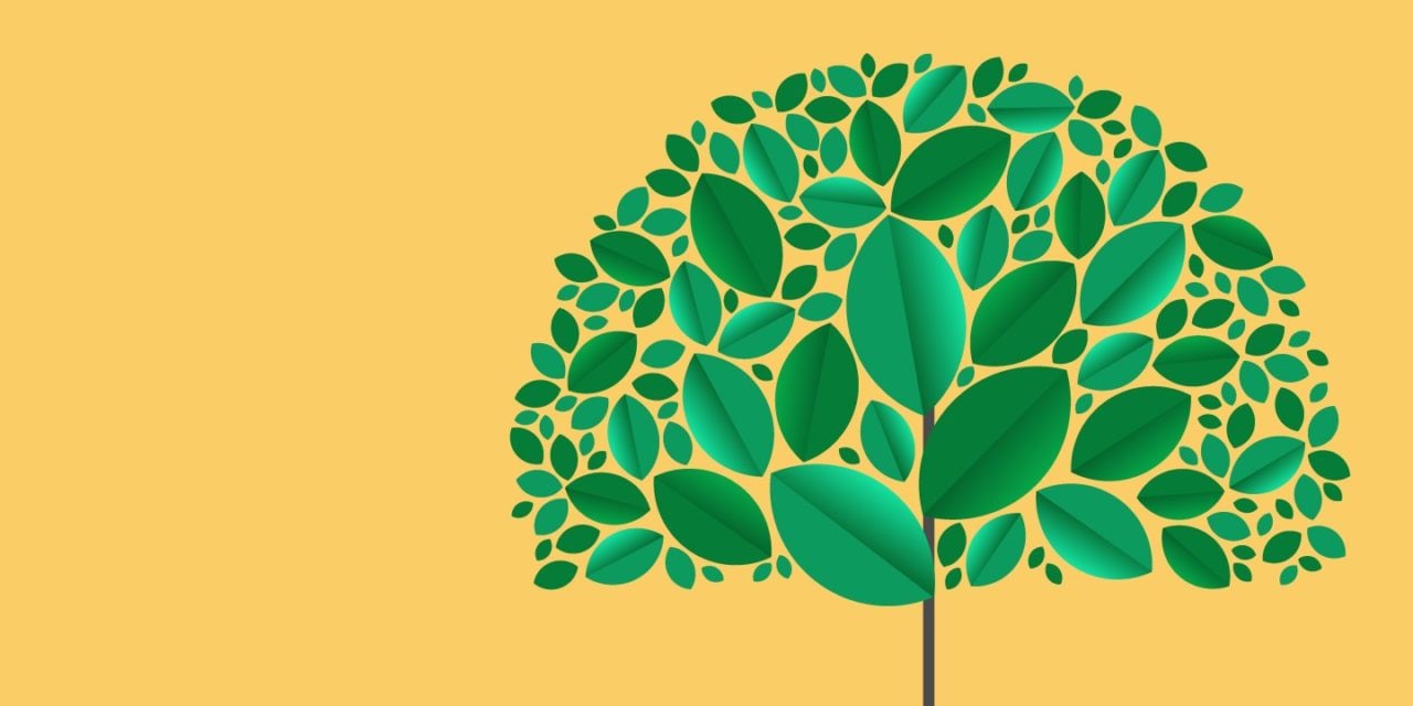 Brands In Focusing on Sustainability for 2020