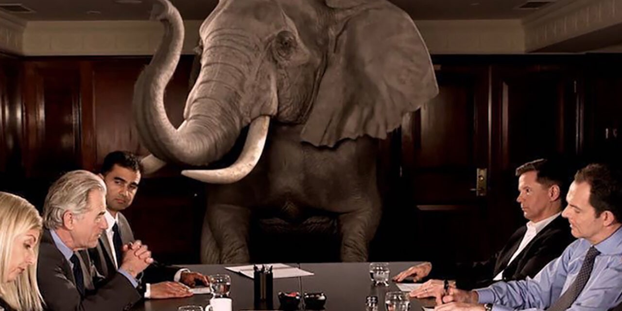 The New Disruptor: Acknowledging the earth-sized elephant in the room – Over Consumption