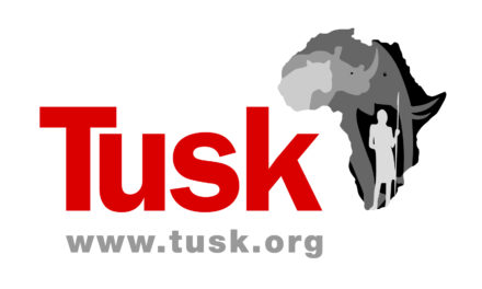 Golden Goose to lead Tusk licensing charge