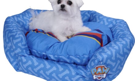Stylist pets with PAW Patrol Pet Accessories