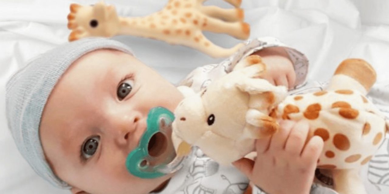 Sophie la girafe Partners with RaZbaby