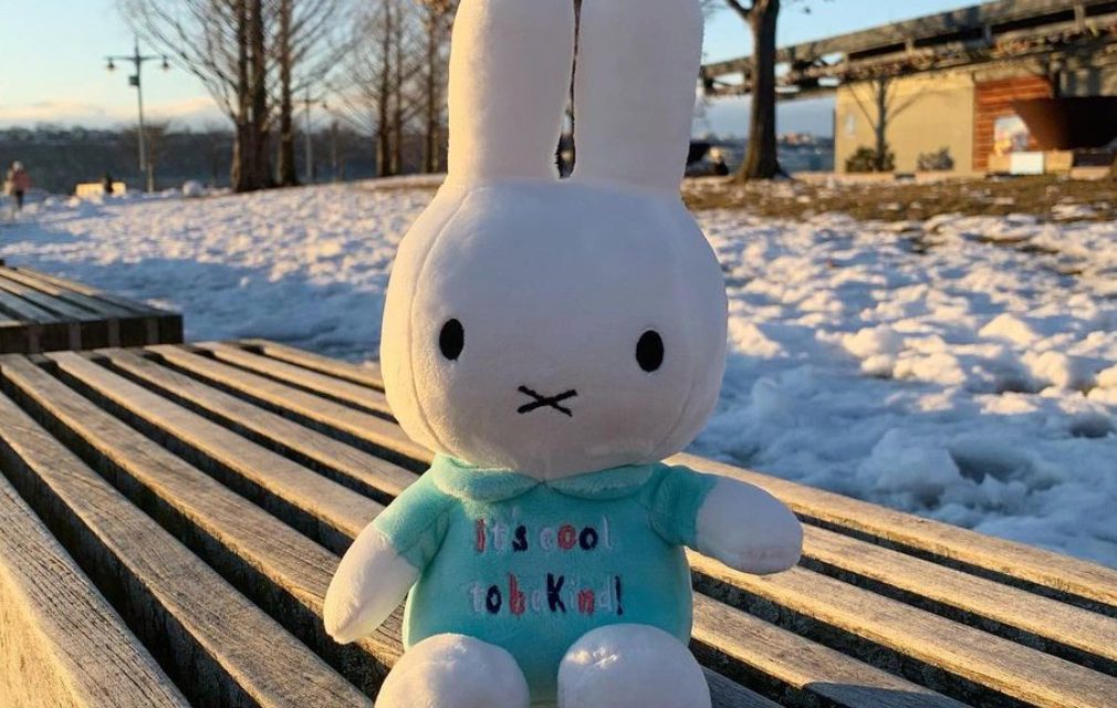 It’s Cool to Be Kind with Miffy