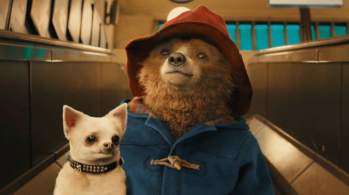 Rai Signs as Agent for Paddington Franchise