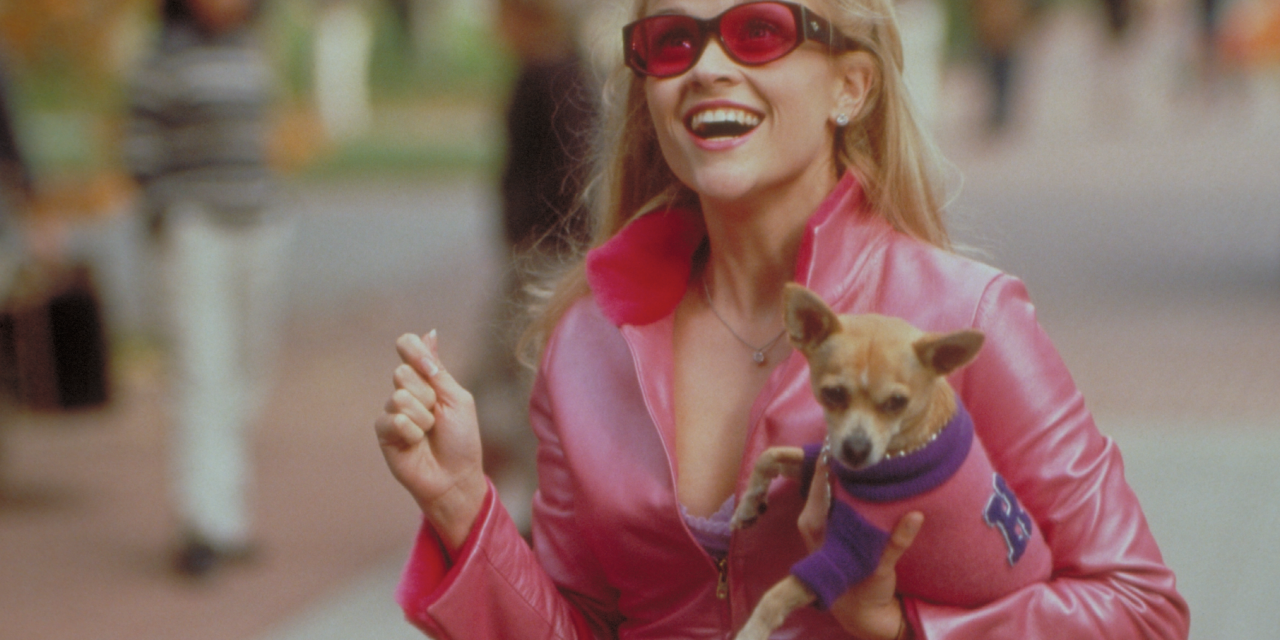 Celebrations as Legally Blonde Turns 21 in 22