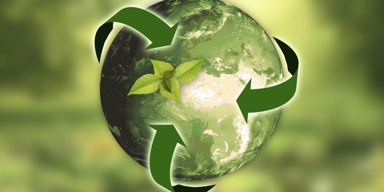 Sustaining Sustainability