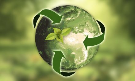 Sustaining Sustainability