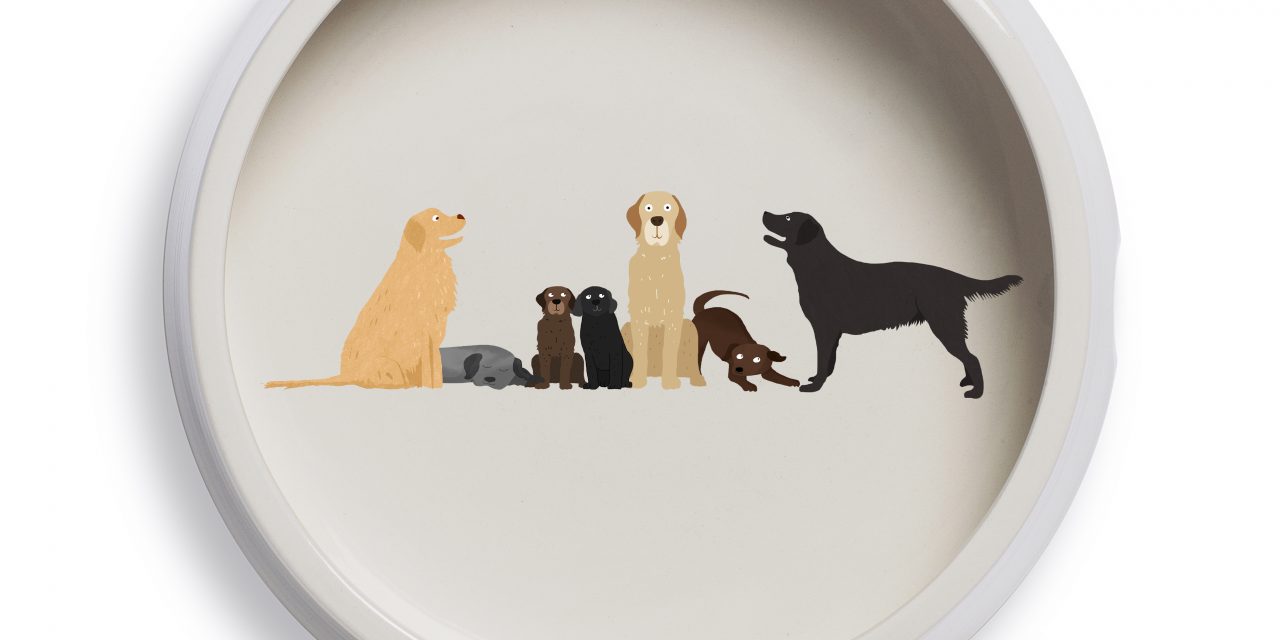 Fenella Smith collaborates with Guide Dogs