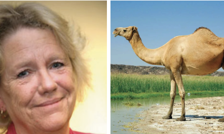 Total Licensing’s Francesca Ash to Embark on Epic Camel Trek