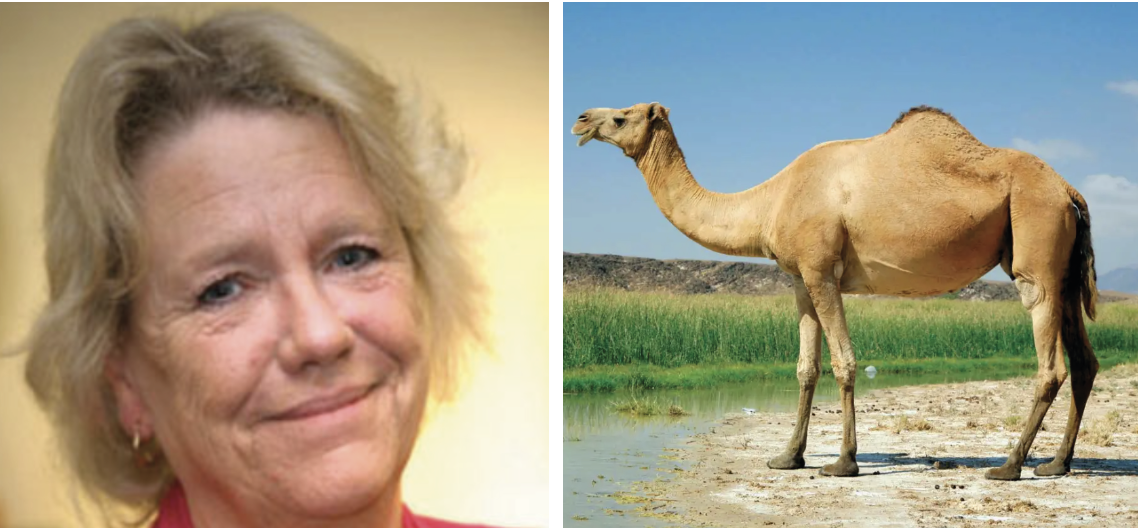 Total Licensing’s Francesca Ash to Embark on Epic Camel Trek