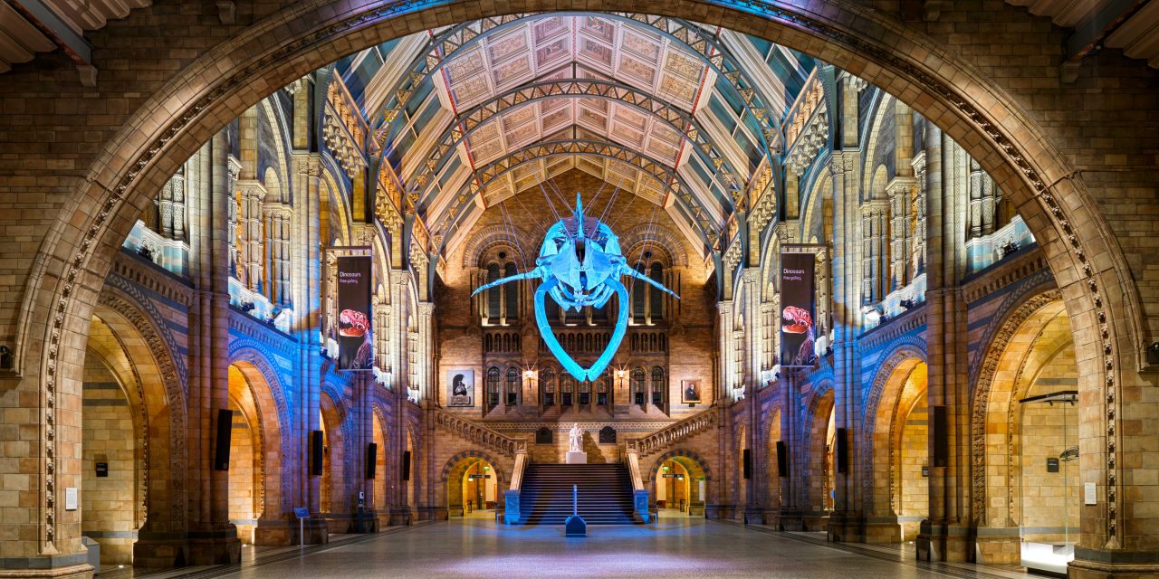 Natural History Museum partners with TSBA as international licensing agency