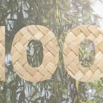 hauck celebrates 100th anniversary with Disney