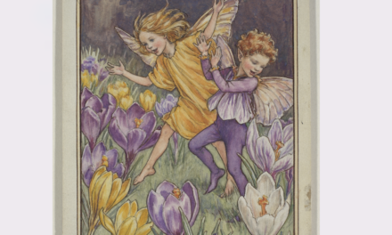 Celebrating 100 Years of the Flower Fairies