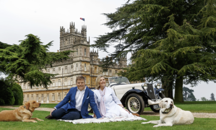 Standard Fiber Partners with Majestic Highclere Castle