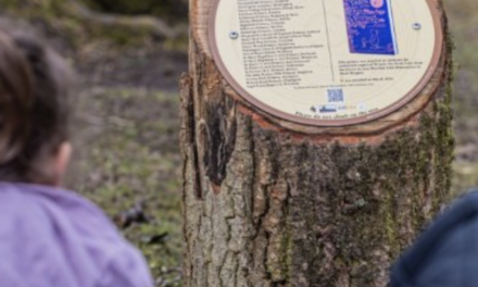 A new ‘Tree of Trees’ inspired by A.A. Milne’s Winnie-the-Pooh to be unveiled in UK’s Ashdown Forest 