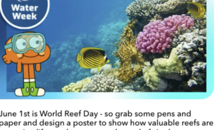 Cartoon Network Climate Champions Launches Huge EMEA Campaign