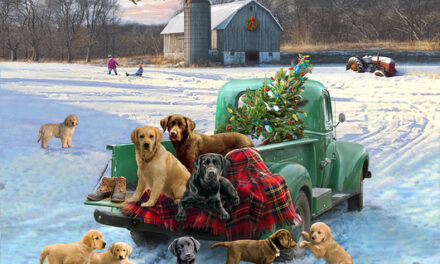 Greeting Cards: Licensing with History for Greg & Company
