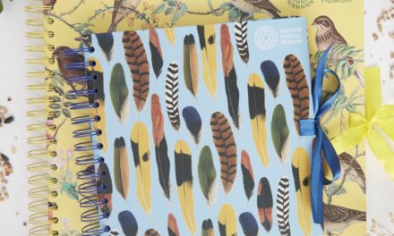 Natural History Museum announces arts and crafts collaboration with West Design Products