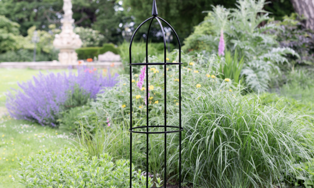 RHS partners with Tildenet for garden structures, hanging baskets and plant supports