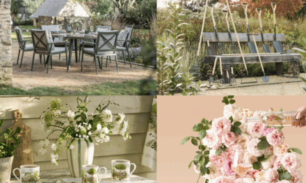 RHS licensing success on display at 2025 RHS Chelsea Flower Show